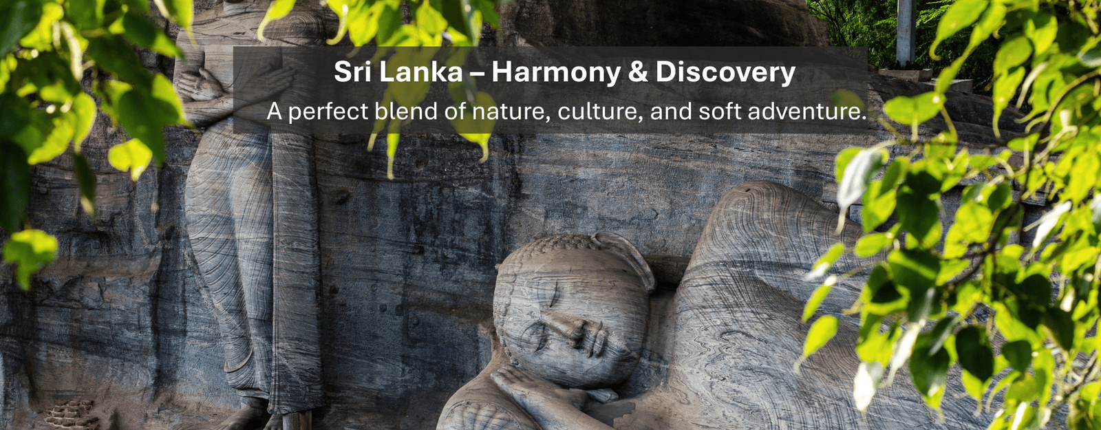 Sri Lanka – Harmony & Discovery A perfect blend of nature, culture, and soft adventure.